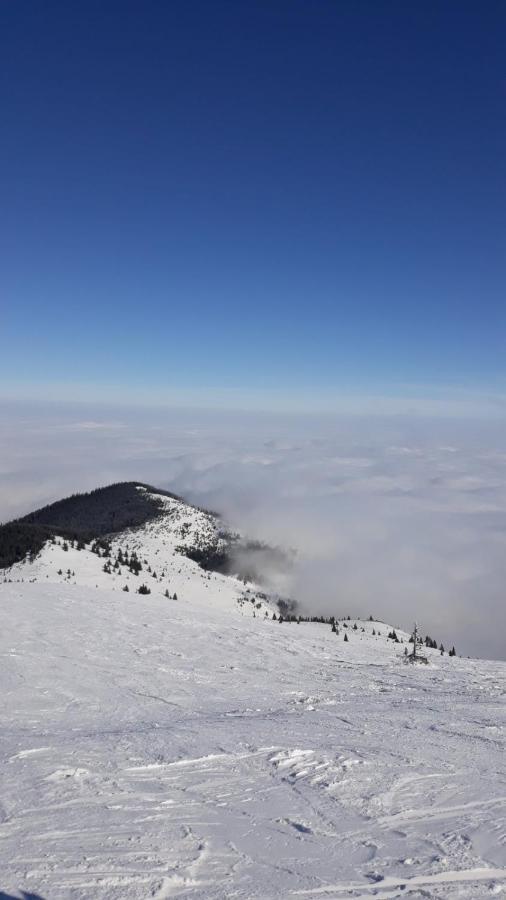 Kop Milmari P32 Apartment Kopaonik Luaran gambar