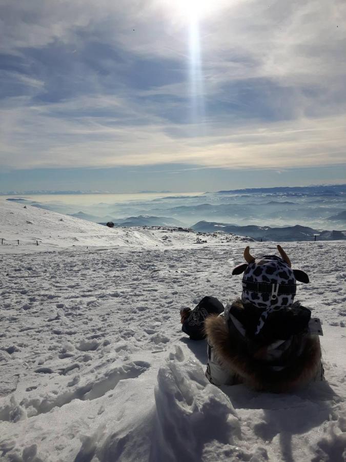 Kop Milmari P32 Apartment Kopaonik Luaran gambar